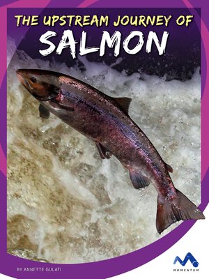 cover image of The Upstream Journey of Salmon